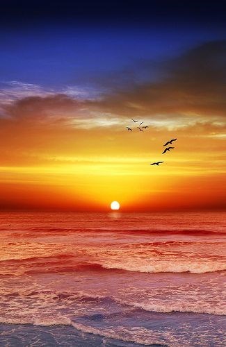 Obituary of Christina Lynn Williams