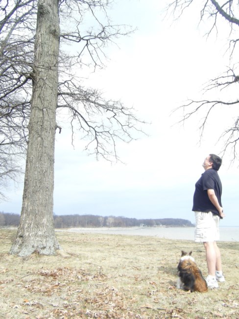 Obituary of Mr. Timothy R. Morse