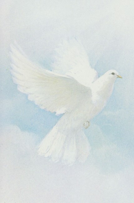 Obituary of Barbara Jean Frye Phillips