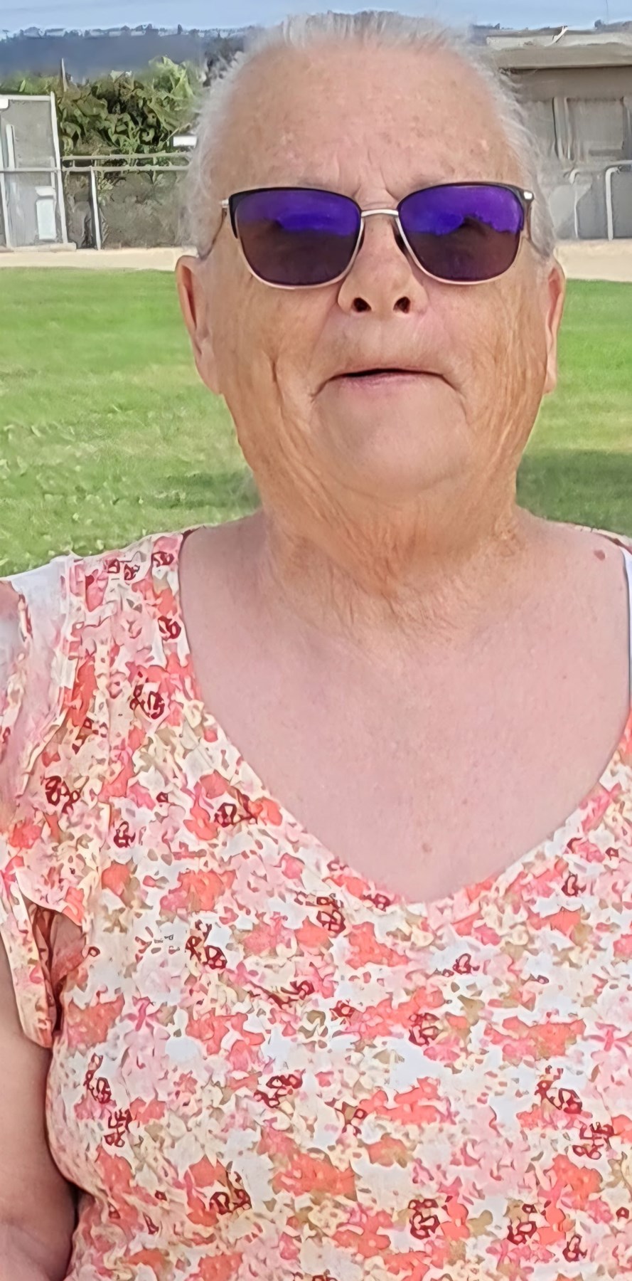 Obituary of Sandra Lee Scarafiotti