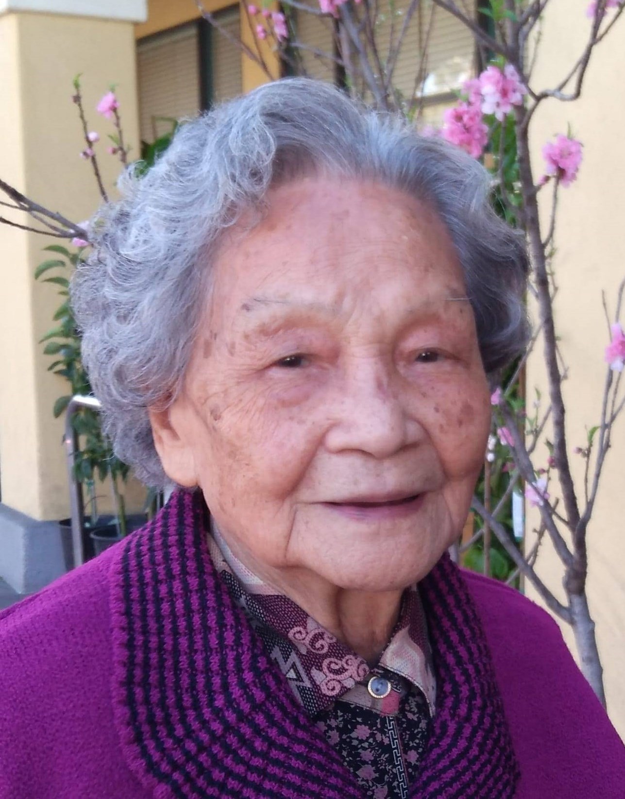 Remembering Miranda Pino: Whittier, Ca Obituary - 1rnz4be