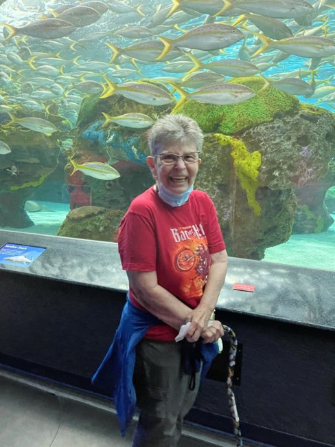 Obituary of Judith Shpeley