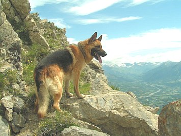 Obituary of Michael J. Epinger