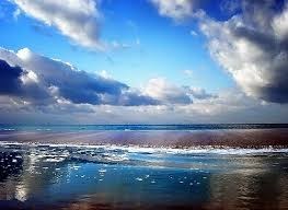 Obituary of MaryAnn D'Innocenzo