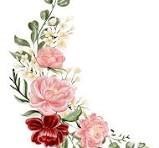 Obituary of Alma Jean Gainey