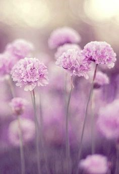 Obituary of Mashalah Roobini