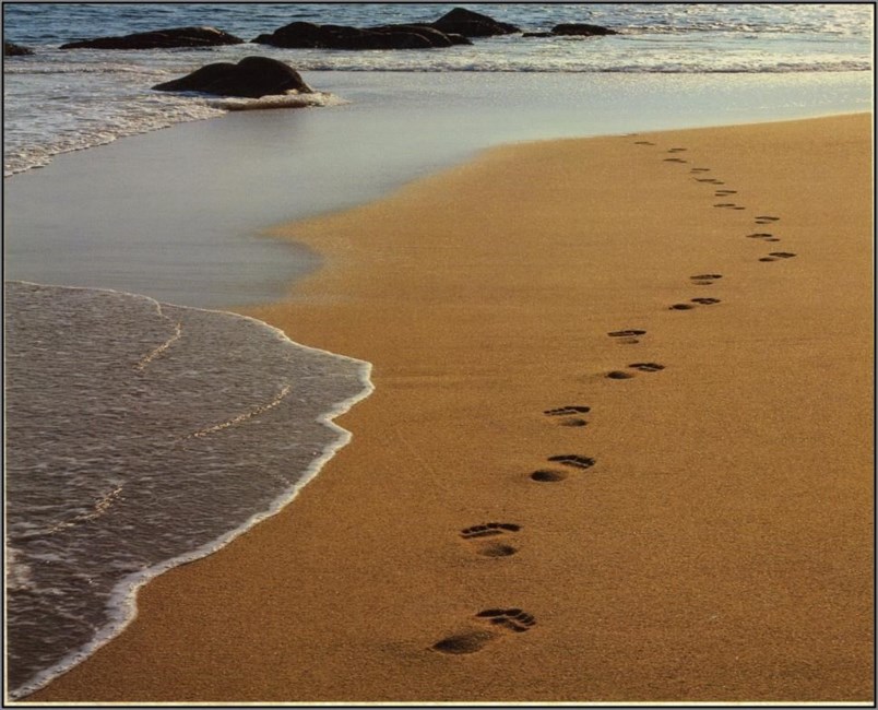 Obituary of Virgil Joseph Bourgeois Jr.