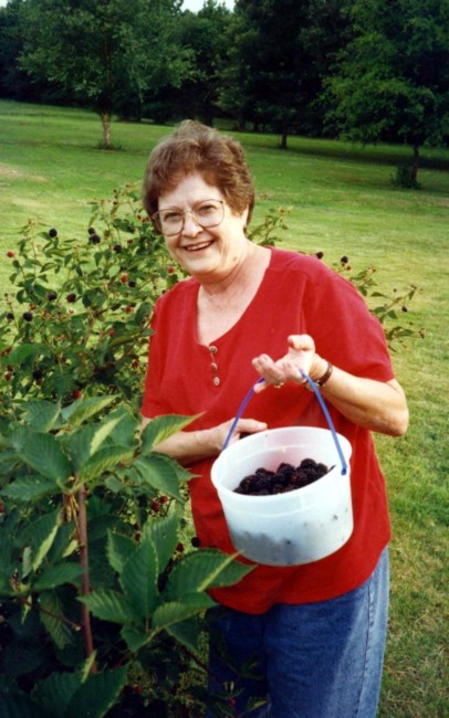 Obituary of JoAnne Calvin