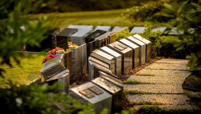 Obituary of Colleen Dewar
