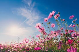 Obituary of Jean W Powers