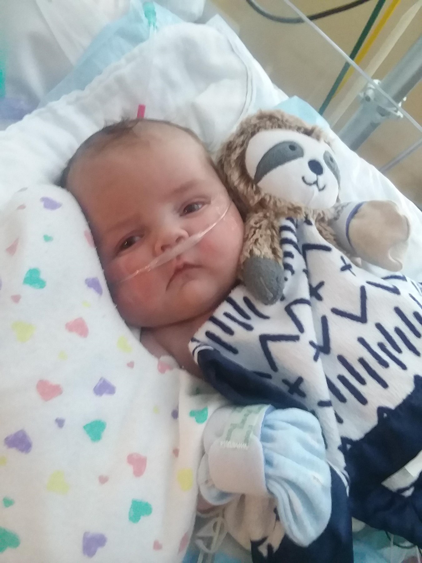 Obituary of Callan Mitchell Reynolds