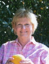 Obituary of Cathy Lee Adelman
