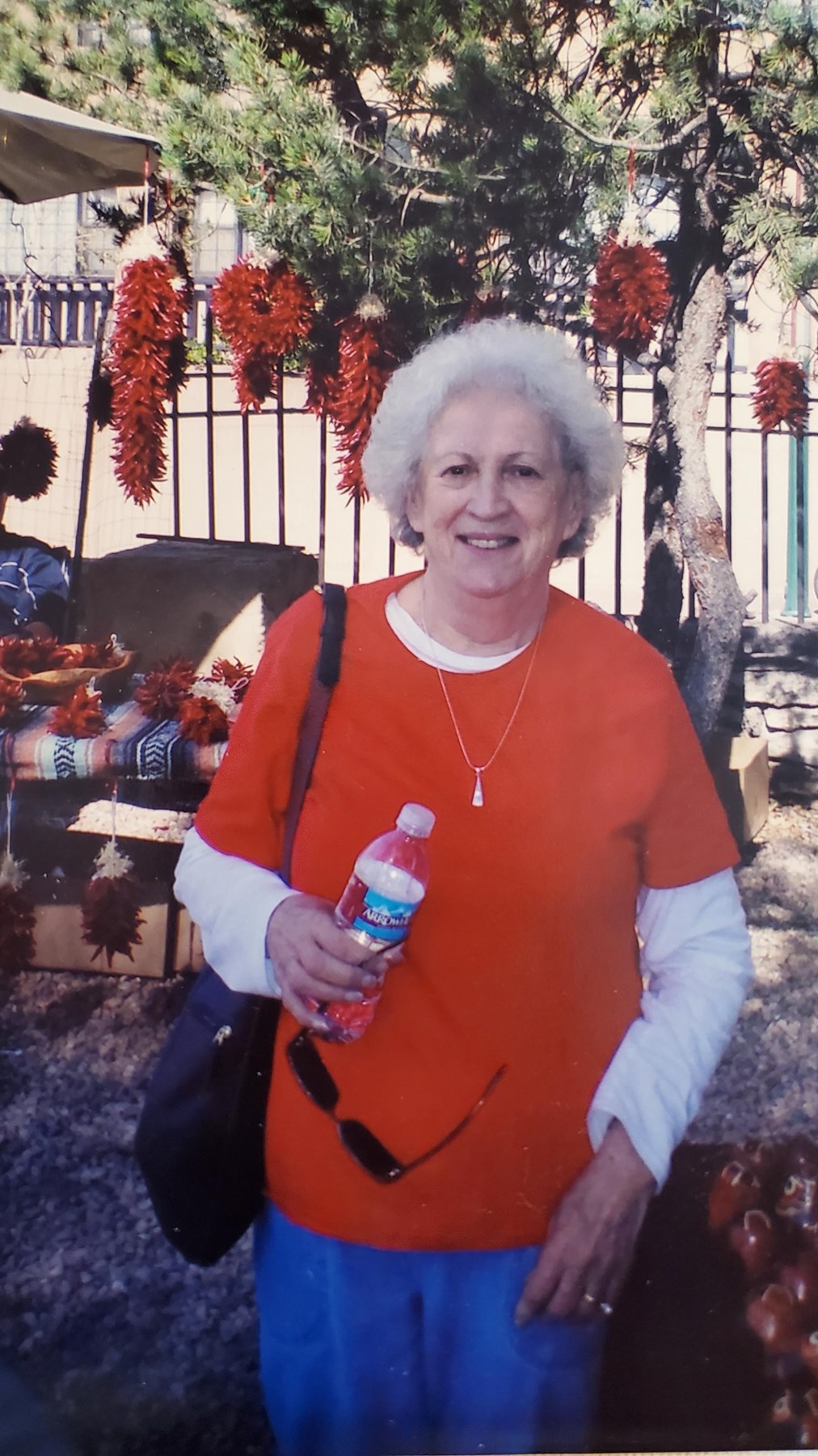 Obituary of Anna Kitt Schreiber