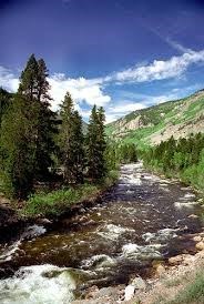 Obituary of Mary Jane Hall