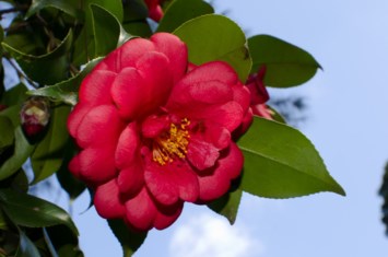 Obituary of Kathryn M Scott