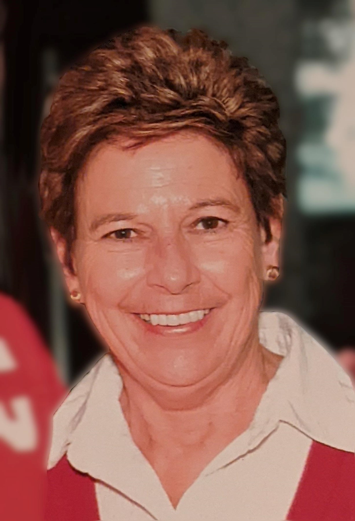 Avis de décès de Diane "Di" Agnes (Darragh) Elmquist