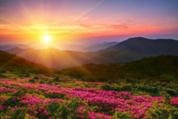 Obituary of Kelley Lee Long