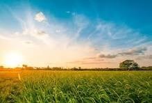 Obituary of Luisa Ortiz Martínez