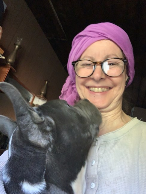 Obituary of Sandra Jill Hillock