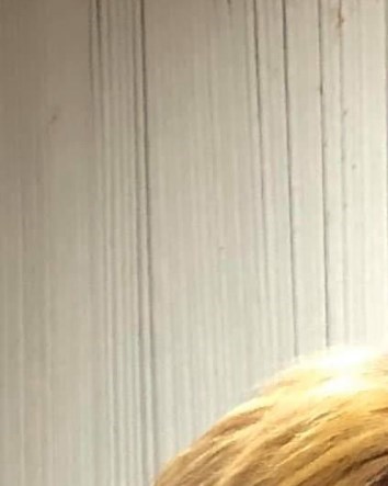 Dr. Bobby & Mrs. Wanda Mullins Obituary - Memphis, TN