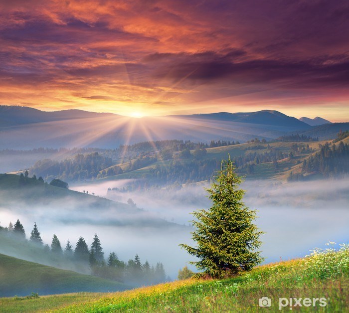 Obituary of Richard William Johnston Sr.