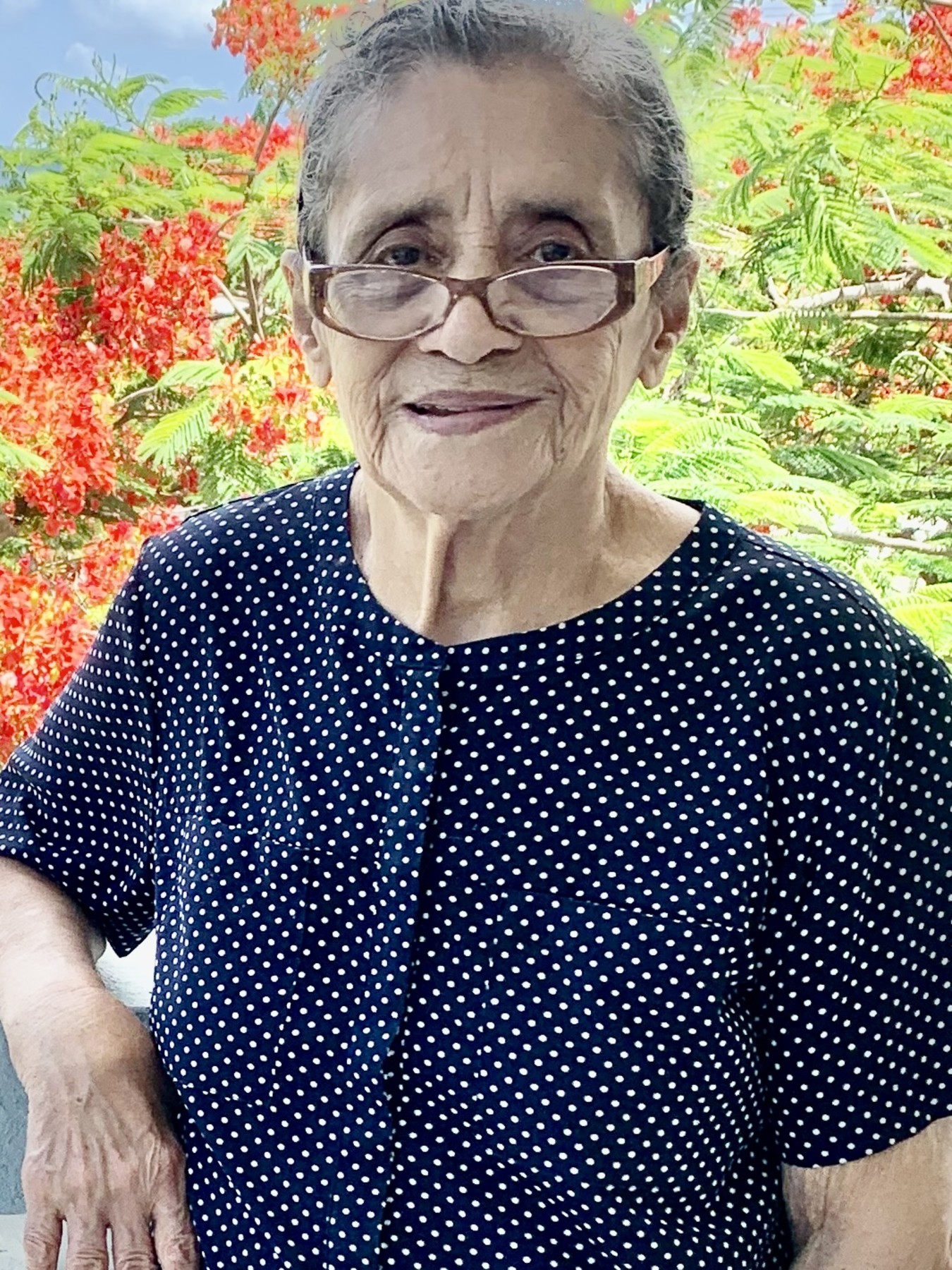 Francisca Viera Félix Obituary Caguas Pr 