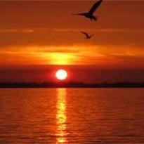 Obituary of Daniel Boone Workman