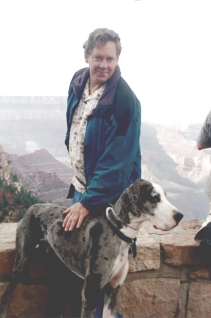 Obituary of Daniel Riley Heflin