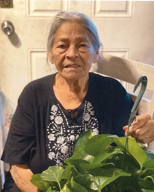 Obituary of Guadalupe Mendez Flores