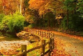 Obituary of Ricky Allen Patterson