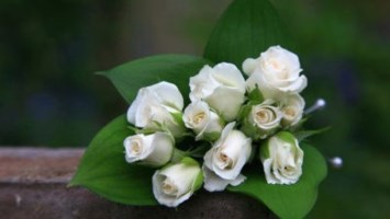 Obituary of Mr. Ted Faun Sum