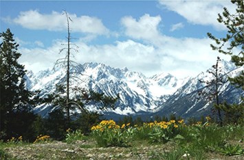 Obituary of Daniel Herbert Anderson