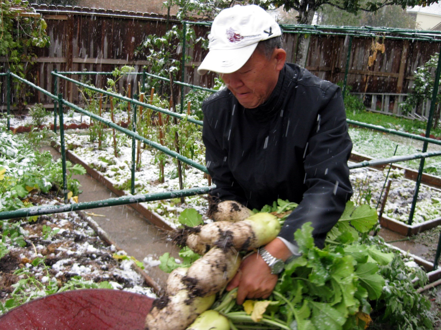 Robert Lee Obituary Houston, TX