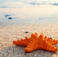 Obituary of Eugenio Andujar Bonilla