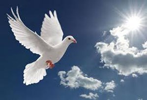 Obituary of Ricardo Estrada Abundis