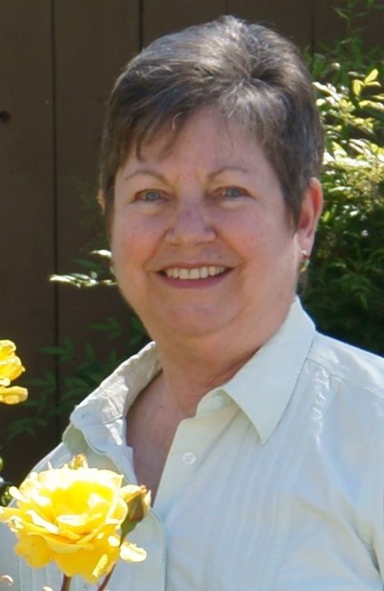 Obituary of Sandra Lynn Johnson