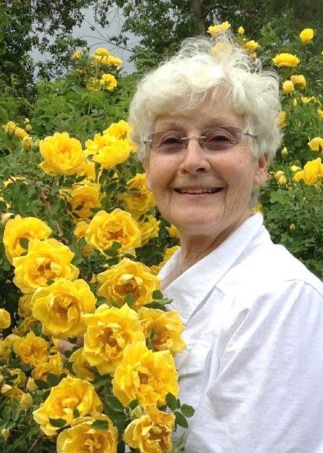 Obituary of Lois Hiestand