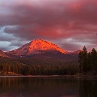 Obituary of Bruce Alan Adams