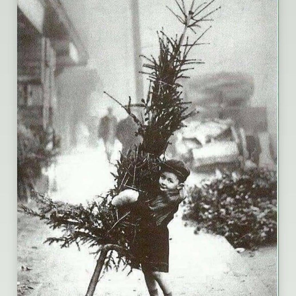 Obituary of Michael Alexander Reid