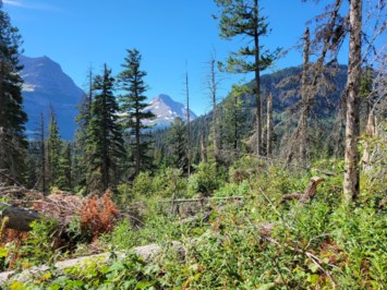 Avis de décès de Peizhen Huang