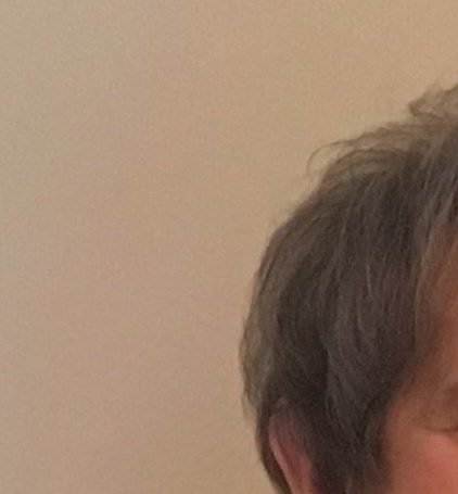 Roslyn Glaser Obituary St. Louis, MO