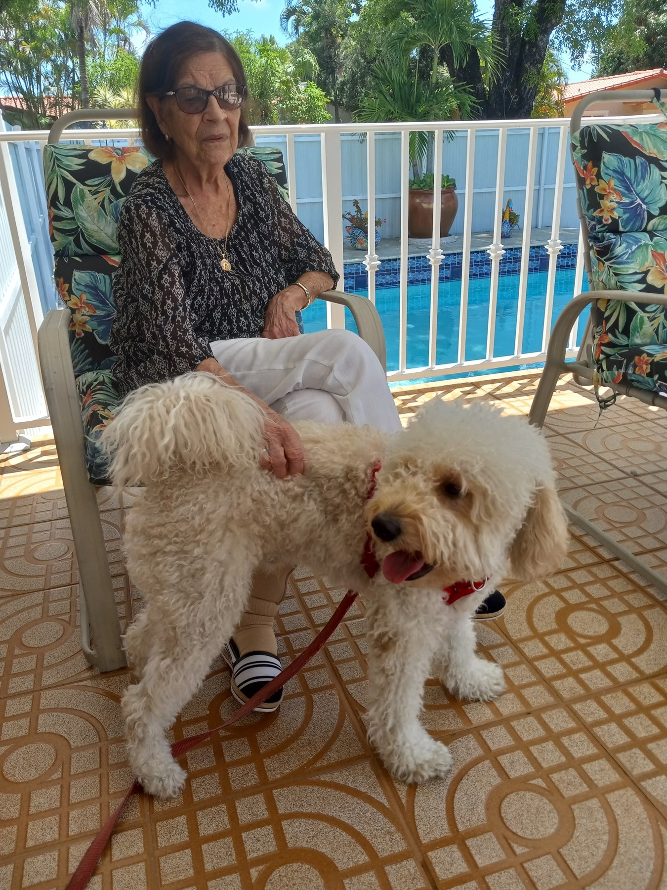 Obituary of Laura Sotolongo