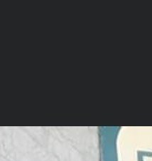 Daria Lynne Arcadi Obituary Sarasota, FL