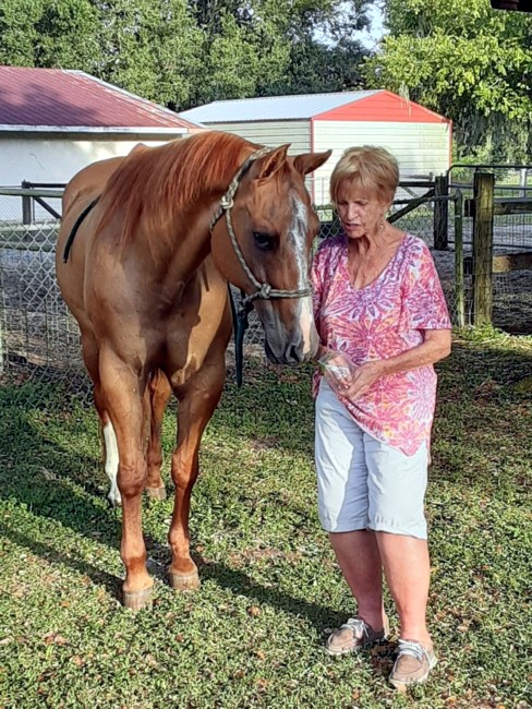 Obituary of Betty L. Vee