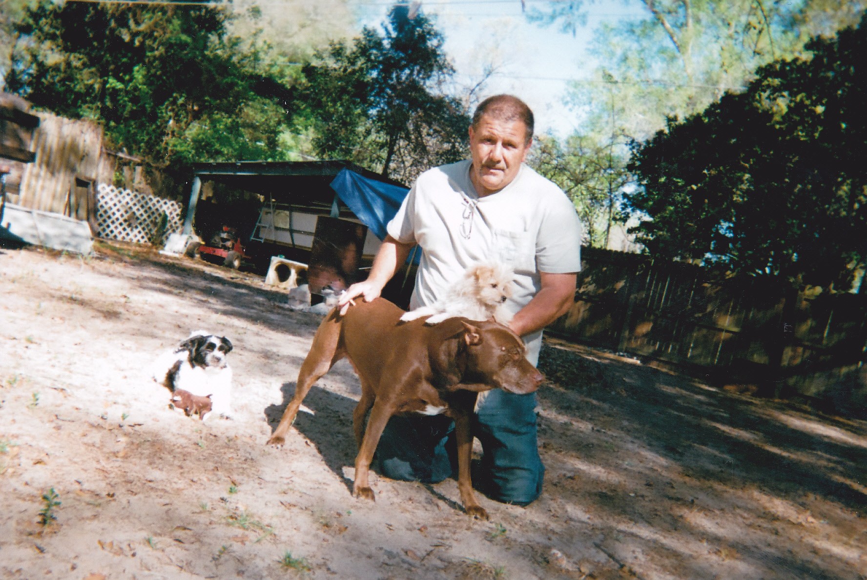 Obituary of Francesco Sangermano