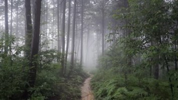 Obituary of Larry James White