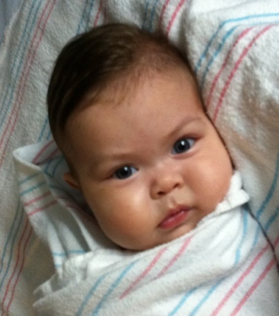 Obituary of Zoey "Isadorable" Dockal