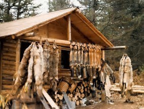 Obituary of Arthur James Davies