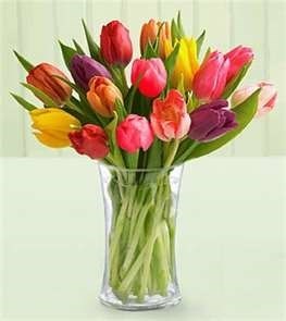Obituary of Sheryl Lynne Berube