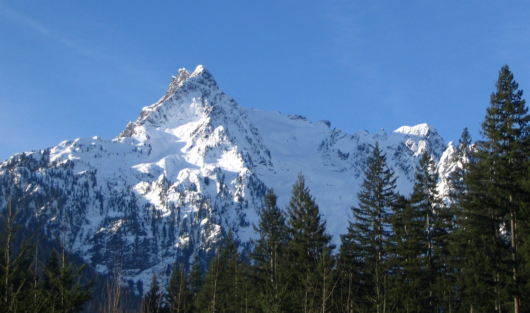 Obituary of Lee Eyre Baird